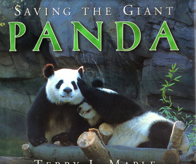 Item #10048 Saving the Giant Panda. Terry L. Maple.