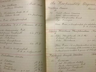 Early 1900's Manuscript: "Mixtures for Diseases"