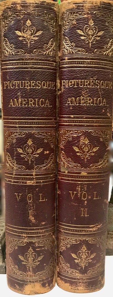 Item #24438 Picturesque America. The Land We Live In. A Delineation by Pen and Pencil of The Mountains, Rivers, Lakes, Forests, Water-Falls, Shores, Canons, Valleys, Cities, and Other Picturesque Features of Our Country. William Cullen Bryant.