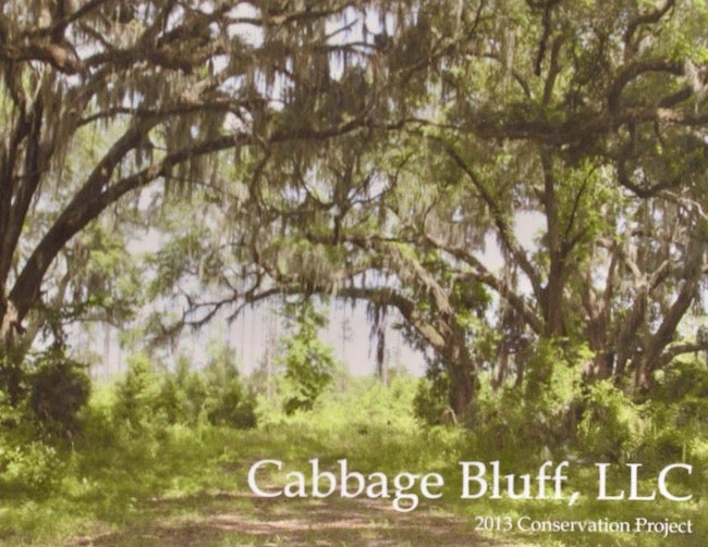Item #27321 Cabbage Bluff, LLC 2013 Conservation Project. LLC Cabbage Bluff.