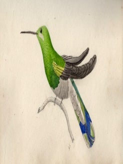Memory Album of Miss Ellen Hodgson 1837-1845 Salkfeld Hall, Little Salkfeld, Cumbria, England. With Many original art sketches